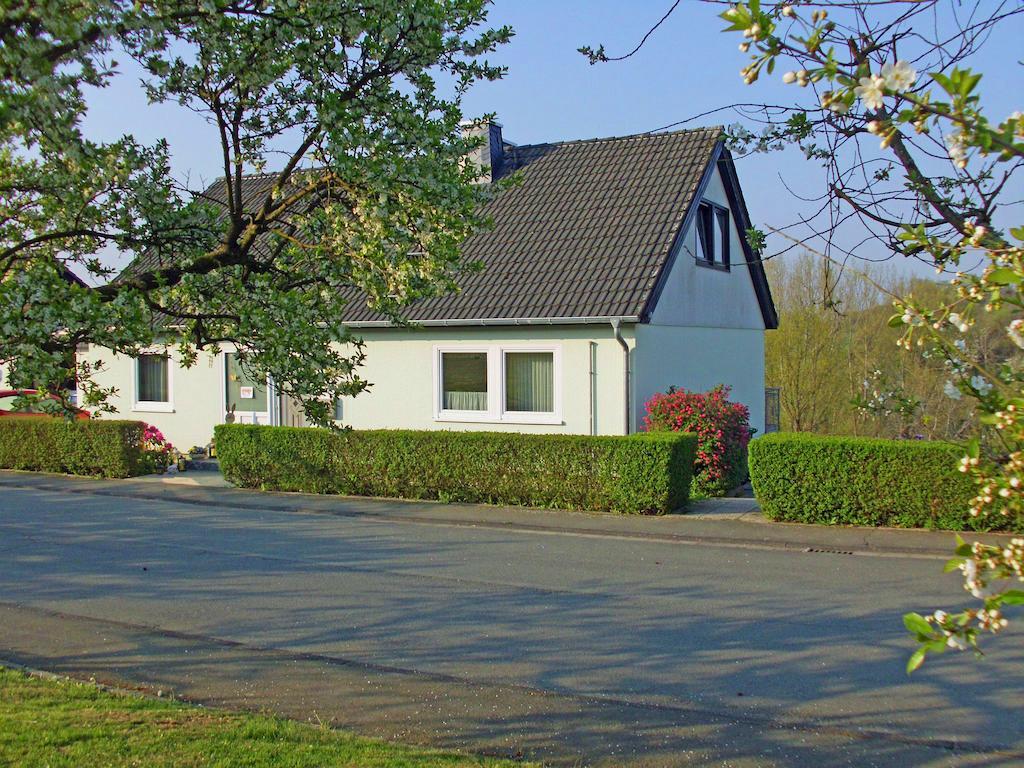 Ferienwohnung Am-Brueckenrain Frankenau Εξωτερικό φωτογραφία